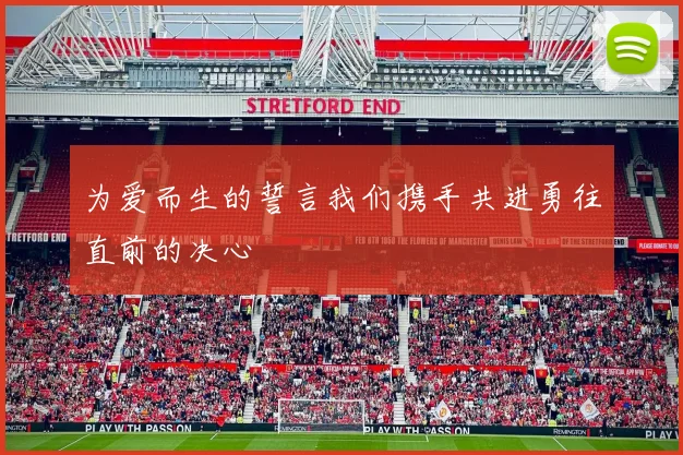 为爱而生的誓言我们携手共进勇往直前的决心